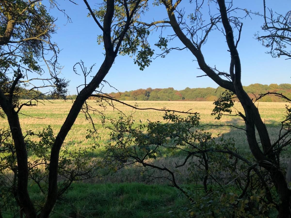 Old Hunters Lodge Whipsnade Buitenkant foto